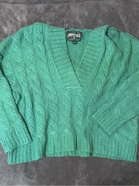 American Eagle Outfitters Green Chunky Knit Hooded V-Neck Sweater